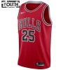 Dres Chicago Bulls Dalen Terry 25 Nike 2022-23 Icon Edition Crvena Swingman - Dječji